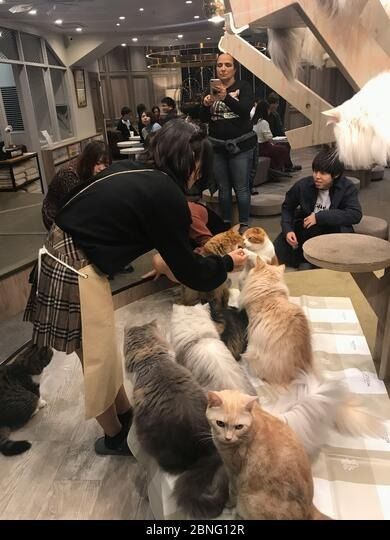 Dernière affaire concernant Specific Customer Feedback (Anonymous Compilation)